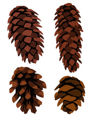 Pinecone different types cartoon set isolated illustrations