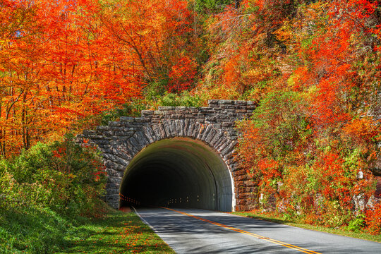 Blue Ridge Parkway Tunnel in Pisgah National Forest