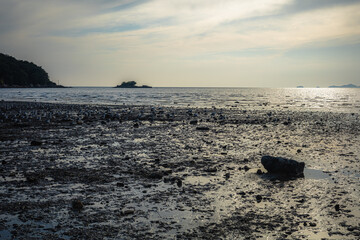 Fototapeta na wymiar 갯벌이 있는 바다의 노을 풍경