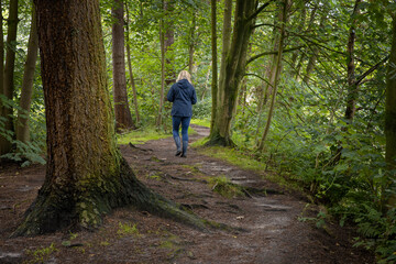 Walking at the Forest Kuinre. Kuinderbos. Noordoostpolder Netherlands. 