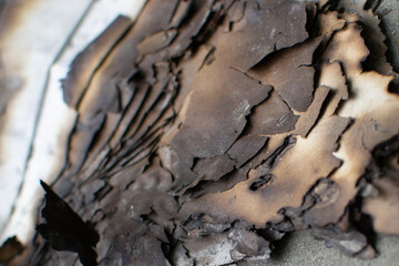 Ashes of burnt paper close-up. Consequences of the action of fire.