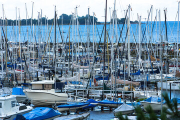 boats in marina