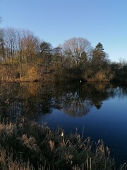 Perfect nature reflections from the trees in the lakes around Jutland in Denmark during autumn