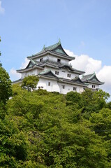 和歌山城 本丸御殿跡から望む天守閣