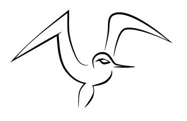 Obraz premium Small seagull seabird in black lines on white background for logo, icons