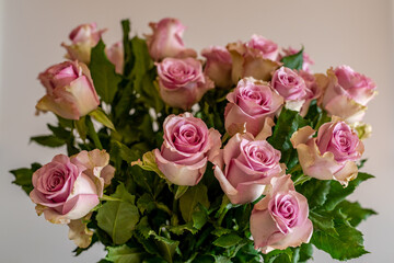 pink roses bouquet