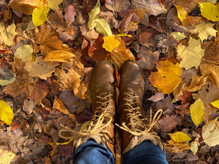 Person's shoes in autumn leaves