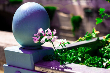 wild white flower with purple or blue center
