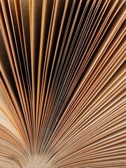 Background from lines of sheets of paper