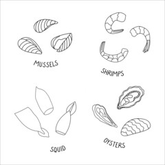 Set of seafood illustrations. Mussels, shrimps, squid, oysters in a shell doodle illustration isolated on a white background. Delicious seafood. Perfect for menu decoration