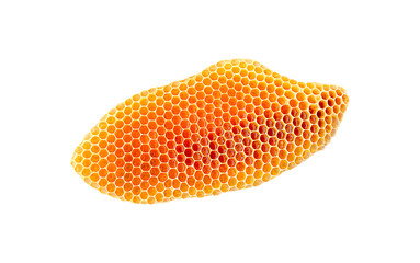 bee honeycomb with honey on a white background, bee honeycomb isolate