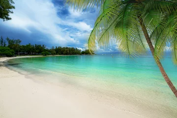 Gordijnen Summer holiday on the exotic beach Blue Bay in Mauritius © cristianbalate
