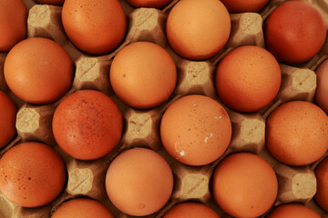 Eggs in Line Composition Pattern