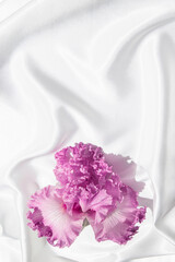 Minimal style composition made of beautiful iris flower on white silk cloth. Nature concept background. Top view. Flat lay