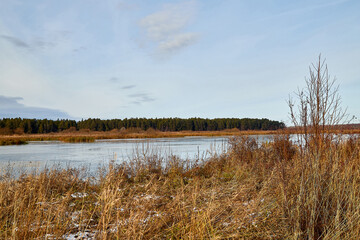 View of the lake water and yellow grass on the shore on an autumn day
