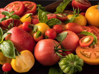 Red and yellow tomatoes of different varieties are on the table with basil, some of them are cut.