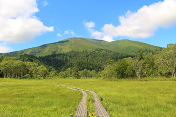 真夏の尾瀬沼と燧ケ岳 Oze in summer