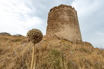 Aragonese Tower and characteristic reddish rocks of Isola Rossa, Costa Paradiso. Trinità d'Agultu e Vignola, Sardinia, Italy, Europe