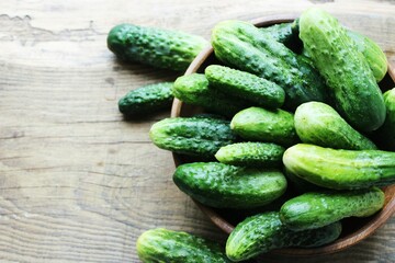 Fresh cucumbers on a wooden table. Dill, garlic and spices. Preparation of pickled cucumbers. preservation of fresh homemade cucumbers. Selective focus. nature