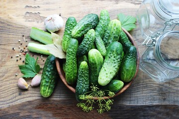 Fresh cucumbers on a wooden table. Dill, garlic and spices. Preparation of pickled cucumbers. preservation of fresh homemade cucumbers. Selective focus. nature