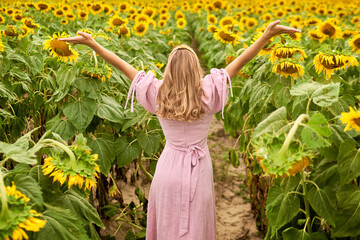 A young girl stands with her back to the camera and enjoys nature on a field of sunflowers. The concept of tourism during the period of isolation. Travel within your own country