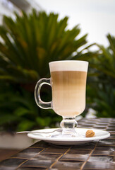 Latte on a background of palm trees. Rest. Coffee drink.
