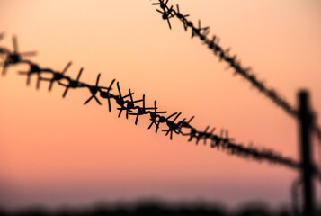 Barbed wire at sunset. Jail. The border. Customs.