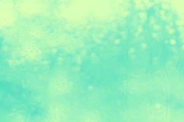 Fototapeta na wymiar blurry green abstract background with bokeh