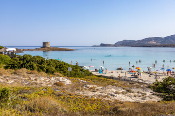 iconic beach of Stintino La Pelosa with the ancient Saracen Tower Torre del Falcone and Asinara island on the background. One of most beautiful beach in Italy. Sardinia, Sassari, Italy, Europe