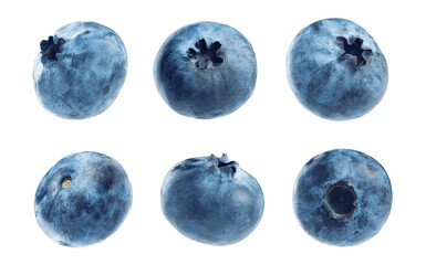 Obraz premium set of blueberry isolates. ripe farm organic blueberries in different positions and from different sides on a white background.