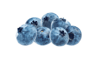 set of blueberry isolates. ripe farm organic blueberries in different positions and from different sides on a white background.