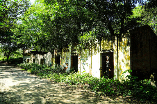 VIVIENDA, SELVAS, RUINAS,  MONTA&Ntilde;AS, COLO MBIA, ARMERO,PUEBLO,ABANDONADO,COLOMBIA