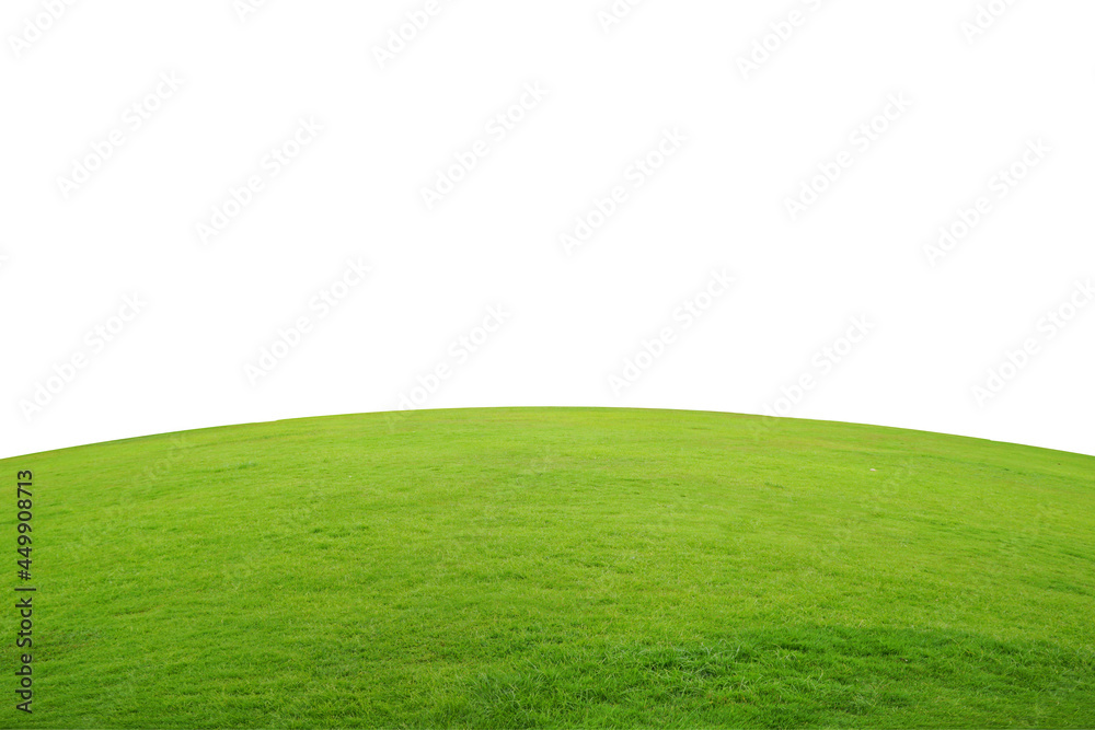 Wall mural bright green grass lawn isolated on white background and copy space.