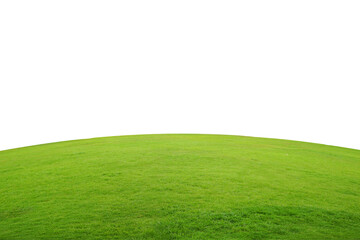 bright green grass lawn isolated on white background and copy space.
