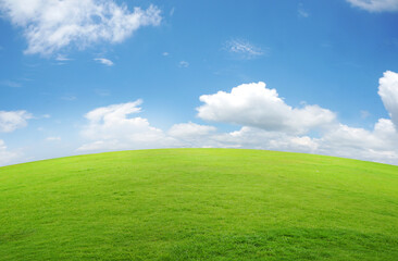 Green grass on hill with blue sky and white clouds background. 
