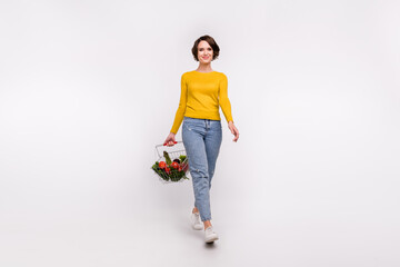 Photo of cheerful girl walk carry food basket wear yellow shirt jeans shoes isolated grey color background