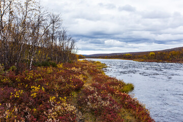 Autumn landscape in tundra, northern Norway. Europe