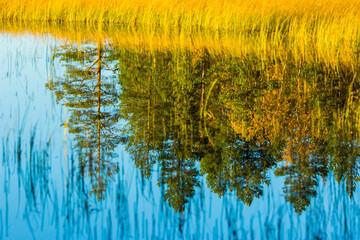 Autumn landscape in Muonio, Lapland, Northern Finland