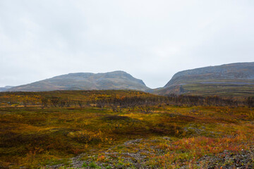 Autumn landscape in tundra, northern Norway. Europe