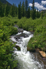 Fototapeta na wymiar Mountain stream flowing thru the rocks and vegetation