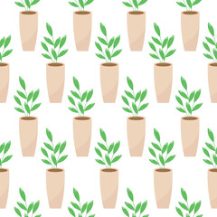 This is a seamless pattern texture of the house plants on a white background. 