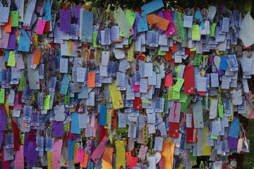 Wall of wishes