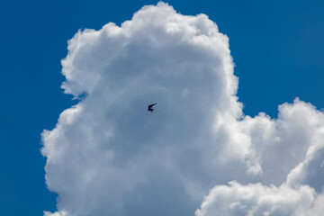 A Paraglider in the Clouds