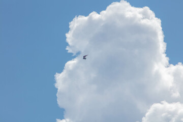 A Paraglider in the Clouds