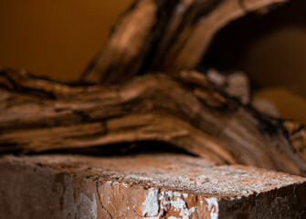 .The tree lies on the red brick