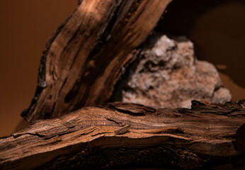 stone and wood on brown background