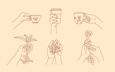 Hand holding coffee mug and picking fresh coffee berries line art elements collection. Growing and harvesting plants isolated outline set. Different cafe signs in contour design.
