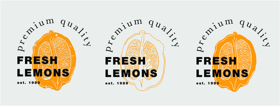 Logo for a farm, organic company or product. Veсtor. Three options on a gray background. you can change the color.