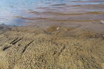 footprints on the beach