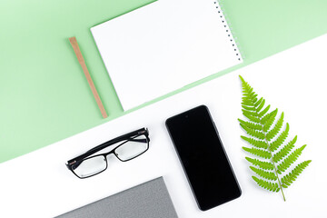 Layout of business items on green and white background